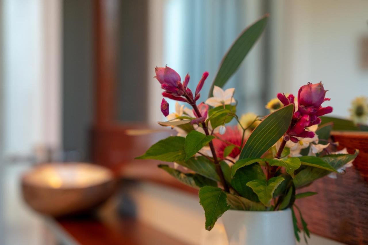 Tully Cottage B&Bセントへレンズ エクステリア 写真